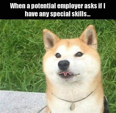 shiba funny|strong shiba meme.